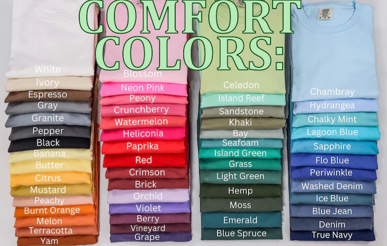 Comfort Colors 1717 Lone Star State Texas T-Shirt