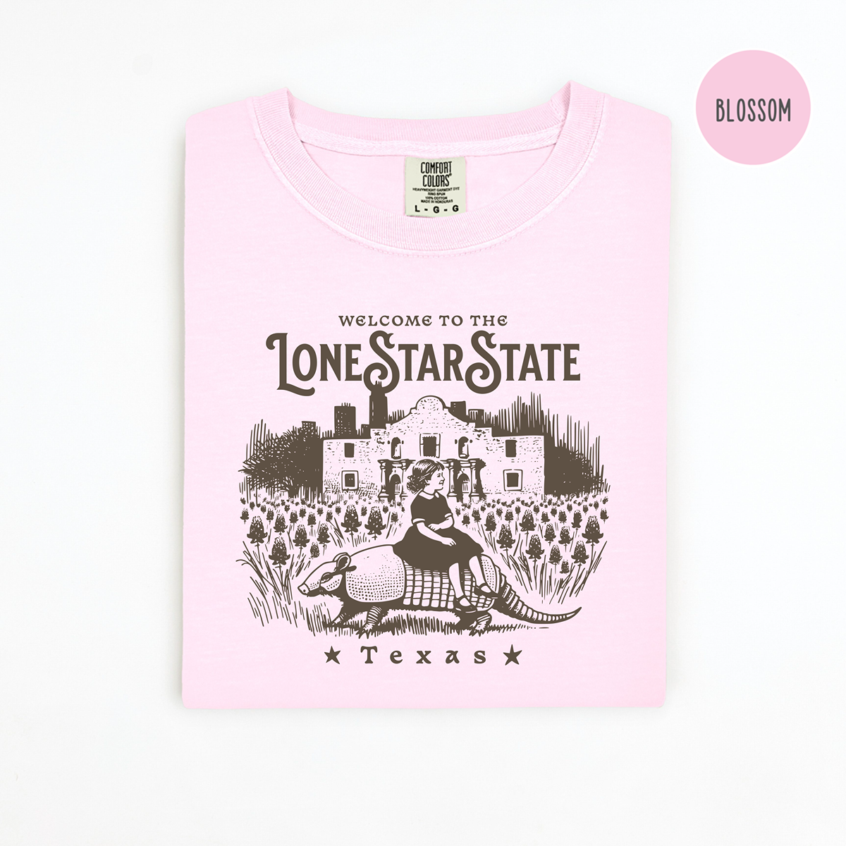 Comfort Colors 1717 Lone Star State Texas T-Shirt